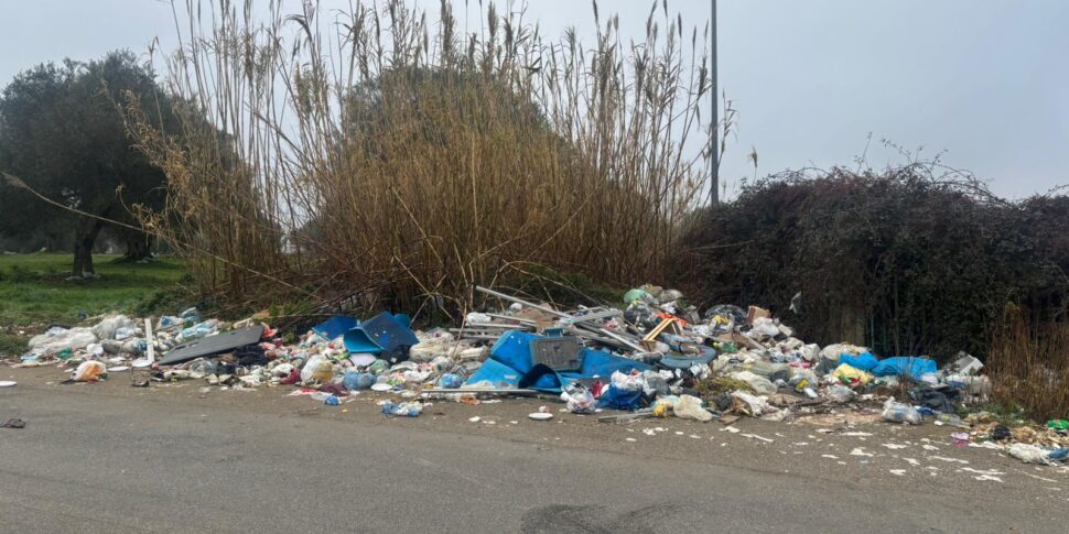 Vibo, collection of undifferentiated waste: zero tolerance from the Municipality. Tight controls on waste disposal are underway