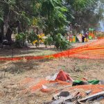 Vibo's urban parks, it's time to make choices: we're moving towards external management