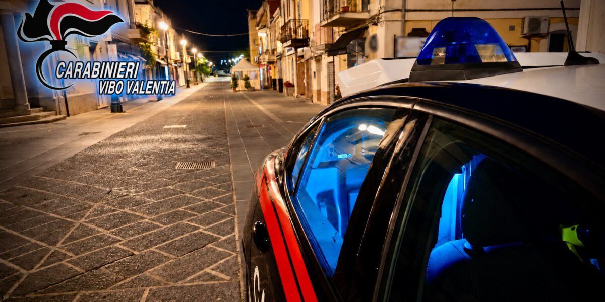 Vibo, flurry of police checks: one arrest, four complaints and food seized