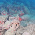 A Roman wreck with hundreds of amphorae. Sensational archaeological discovery in the waters of Mazara del Vallo