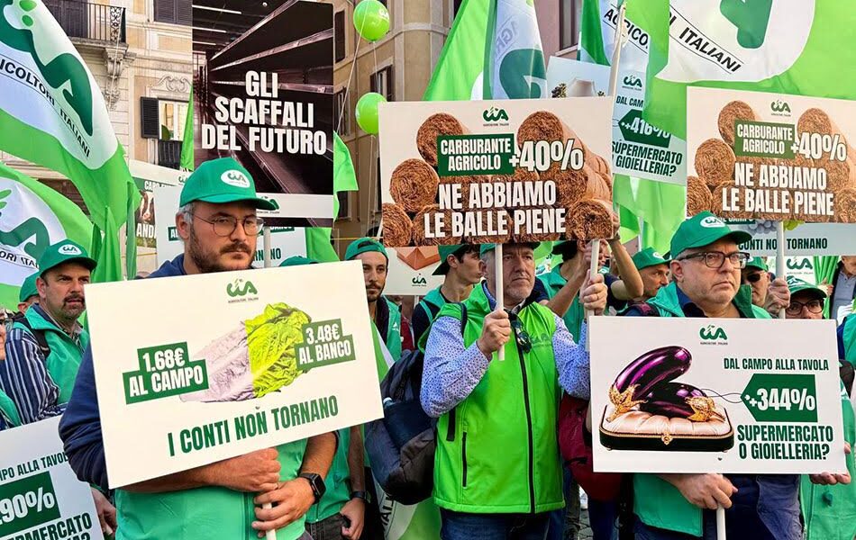 Agriculture, «The numbers don't add up»: thirty Calabrian producers protesting in Montecitorio on 21 October