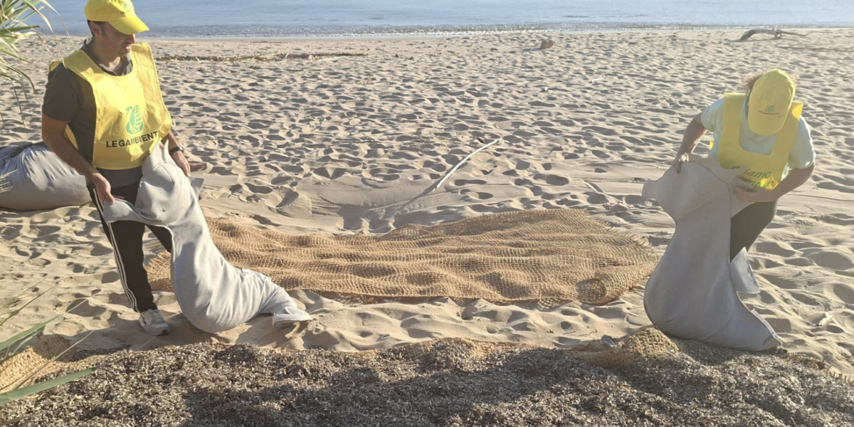 Capo Rizzuto Island, Posidonia becomes a resource for the dunes: the project on the Sovereto and Saraceno beaches
