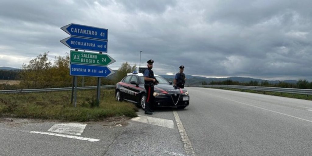 Checks in the Catanzaro area: 18-year-old caught with a fake driving licence, complaints and large fines are triggered