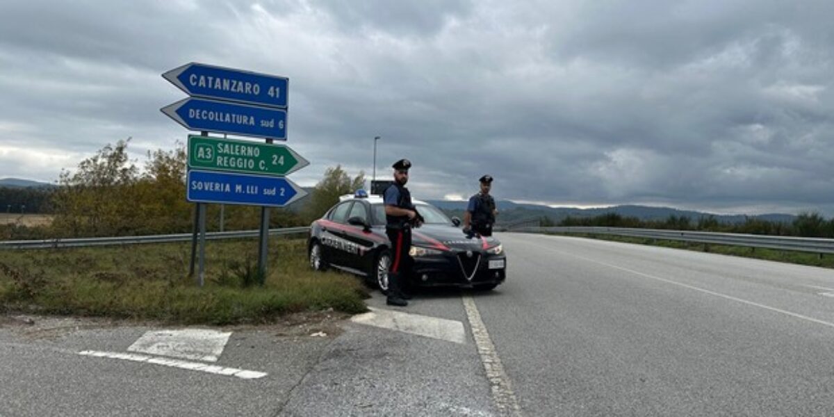 Checks in the Catanzaro area: 18-year-old caught with a fake driving licence, complaints and large fines are triggered