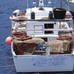 Dear fuel, day 22 is the fishermen's turn. Strait of Messina "invaded" by a hundred boats