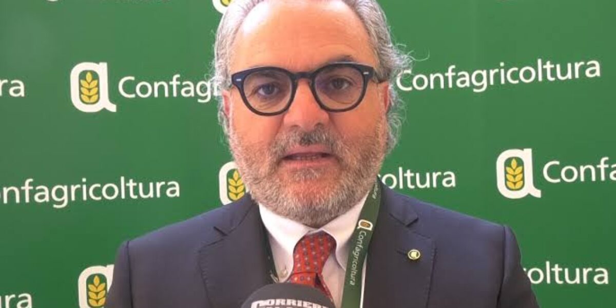 Dear fuels, Statti (Confagricoltura) on the 15 million allocated by the Calabria Region: «Beware of agricultural diesel»