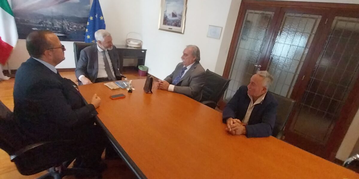 From Argentina to Calabria, the challenge of "reverse emigration"