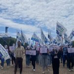 Konecta workers R, Orrico (M5S): "Occhiuto's promises were disregarded, Minister Urso questioned"