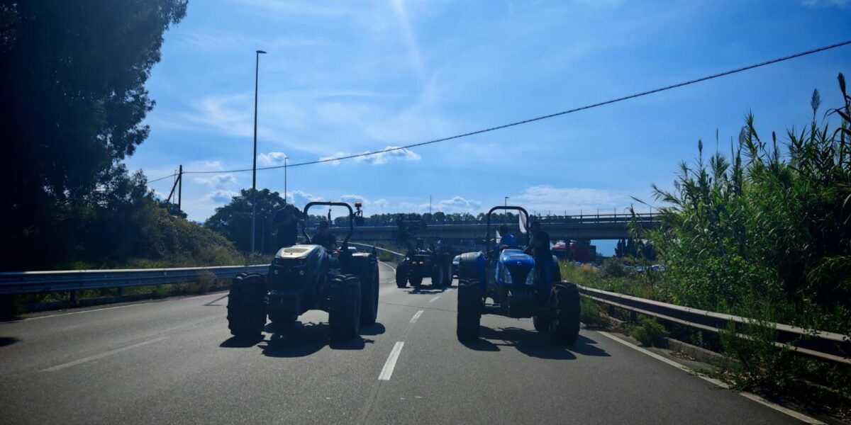 Lamezia, blockade of tractors at the airport removed: traffic picks up on State Road 280 and 18