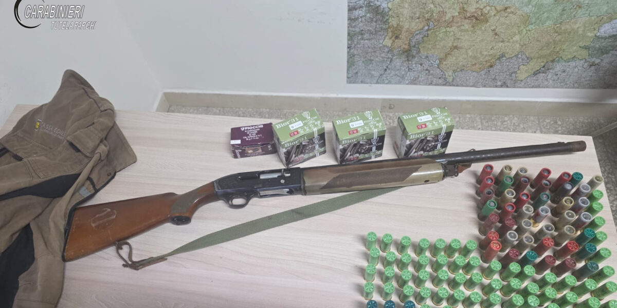 Mammola, clandestine rifle and ammunition in an abandoned car in the Aspromonte Park