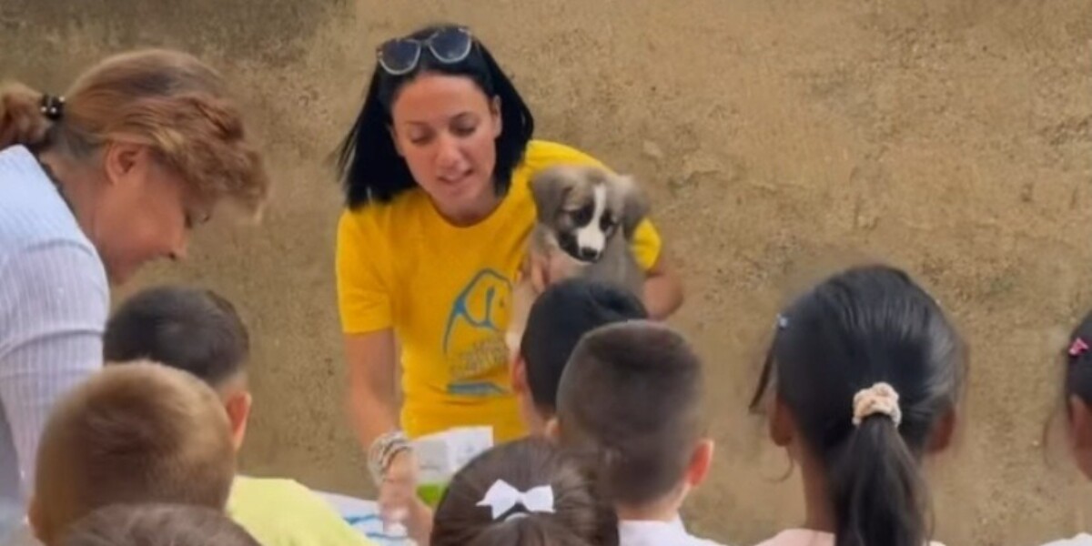 Messina, International Animal Day celebrated at the Leopardi hospital PHOTO