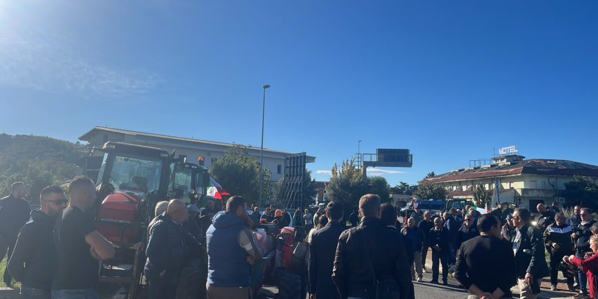 Rincari, the protest stops in Falerna: «Calabria that produces doesn't give up». Inconveniences and queues
