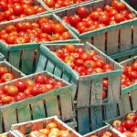 Truck blocks, alarm in the Gioia Tauro plain: «Fruit and vegetables at risk of pulping, an entire year at stake»